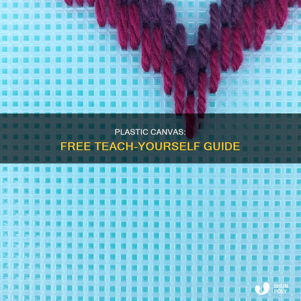 para descargar gratis teach yourself plastic canvas