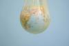 plastic bag