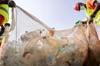 plastic bag