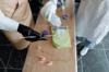 plastic bottle