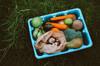 plastic container