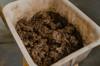 plastic container
