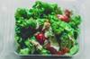 plastic container