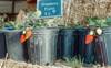 plastic container