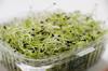 plastic container