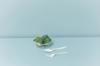 plastic eat