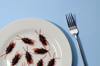 plastic eat