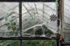 plastic glass