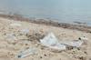 plastic ocean