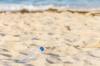 plastic ocean