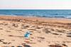 plastic ocean