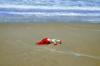plastic ocean