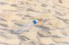 plastic ocean