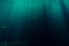 plastic ocean