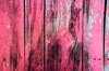plastic paint