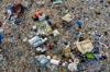 plastic pollution