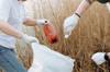 plastic pollution