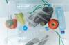 plastic pollution