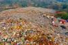 plastic pollution