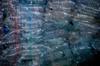 plastic recycling
