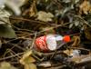 plastic use