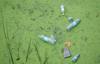 plastic use