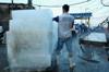 plastic wrap