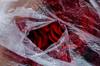 plastic wrap