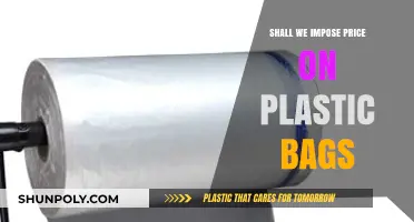 Should We Charge for Plastic Bags? Pros, Cons, and Environmental Impact