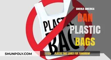 Should America Ban Plastic Bags? Environmental Impact and Alternatives