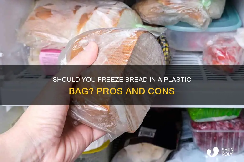 should bread be frozen in a plastic bag