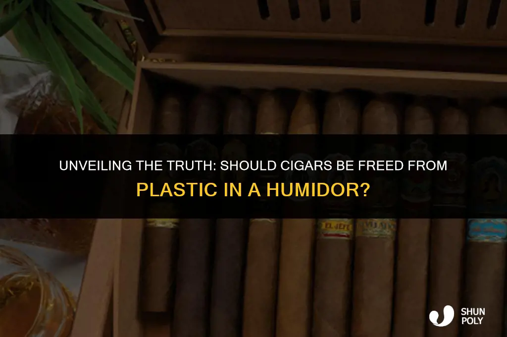 should cigars be taken out of plastic in humidor