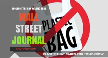 Should Cities Ban Plastic Bags? Pros, Cons, and WSJ Insights