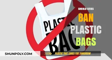 Should Cities Ban Plastic Bags? Environmental Impact and Alternatives