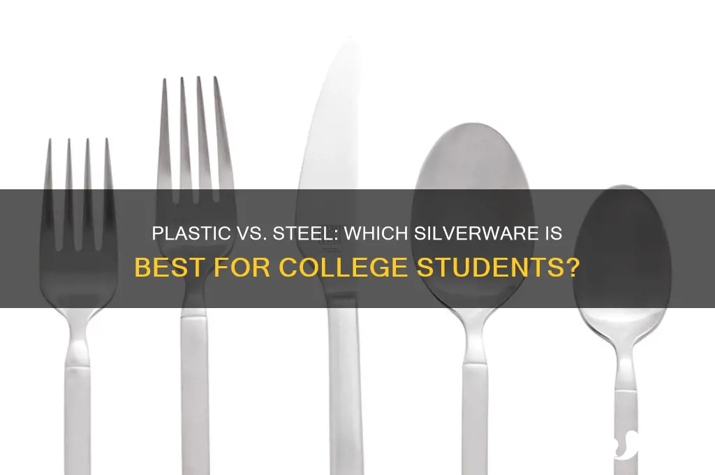 should college kids get plastic silverware or steel