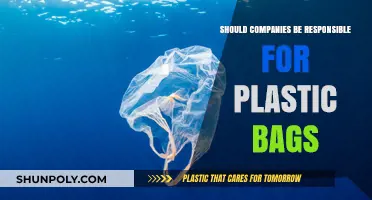 Corporate Accountability: Should Companies Bear Responsibility for Plastic Bag Pollution?