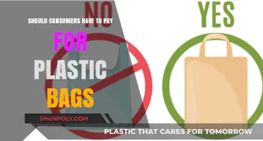 Should Consumers Pay for Plastic Bags? Pros, Cons, and Alternatives