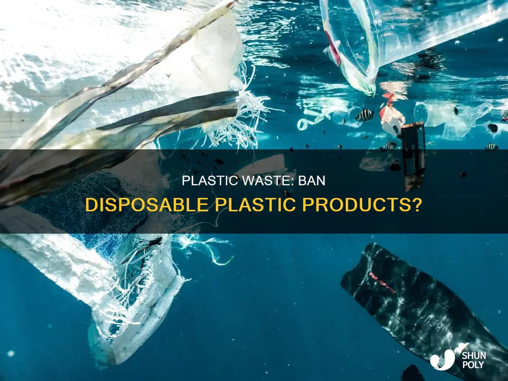 should disposable plastic products be banned