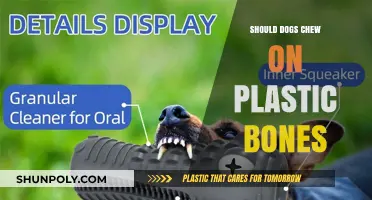 Plastic Bones: Safe Chewing for Dogs?