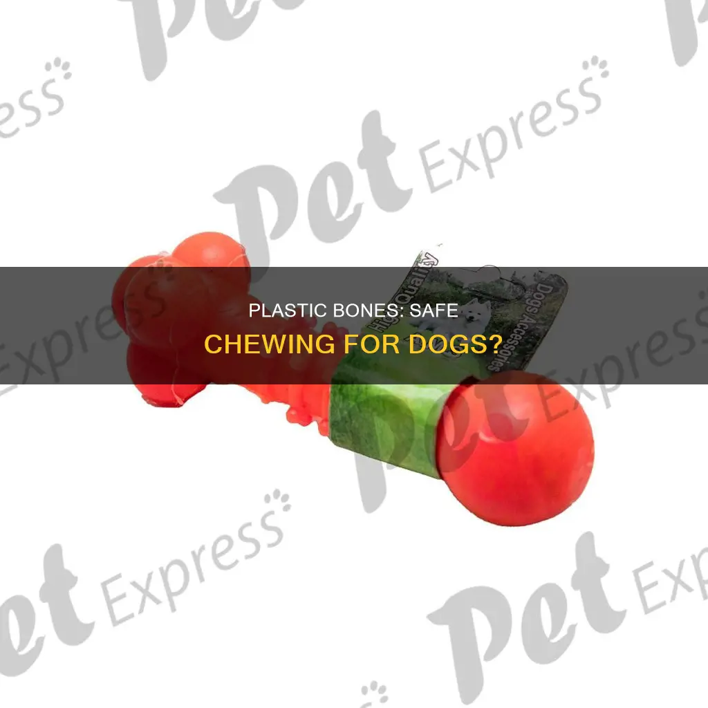 should dogs chew on plastic bones
