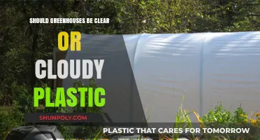 Clear vs. Cloudy Plastic: Which is Best for Greenhouses?