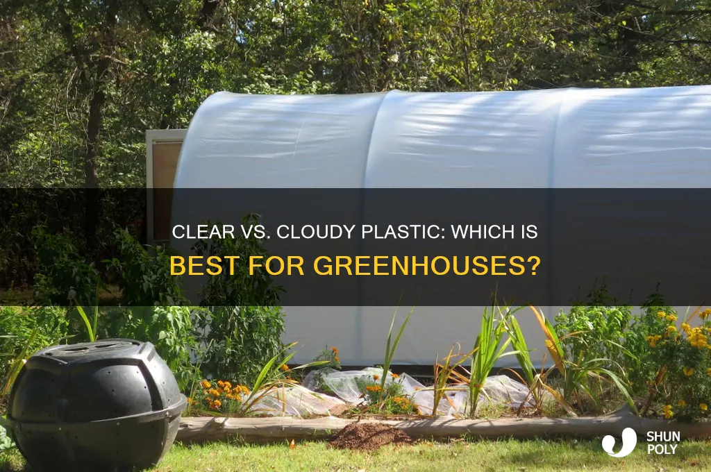 should greenhouses be clear or cloudy plastic