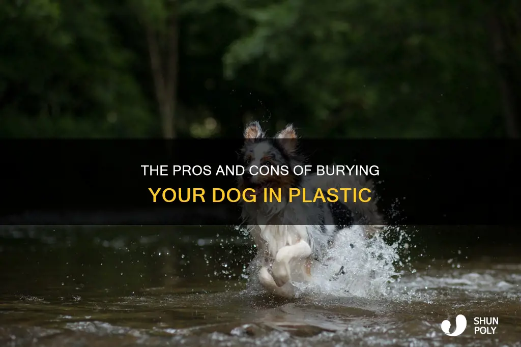 should i bury my dog in plastic