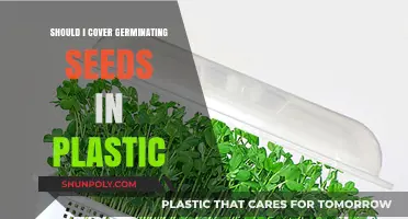 Plastic Covering for Germinating Seeds: Good or Bad?