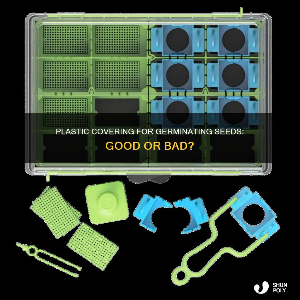should i cover germinating seeds in plastic