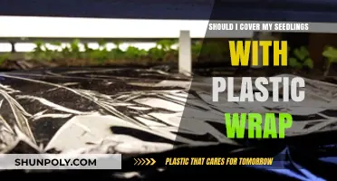 Protecting Seedlings: The Pros and Cons of Using Plastic Wrap