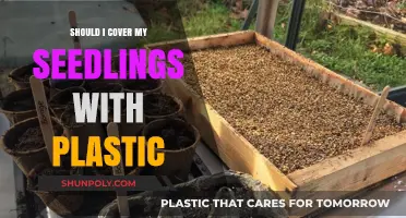 Plastic Protection: Seedling Care and Best Practices