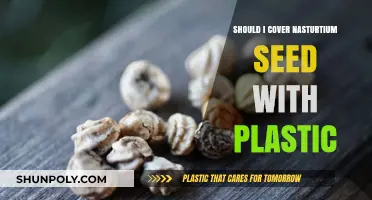 Covering Nasturtium Seeds: Plastic Protection for Optimal Germination
