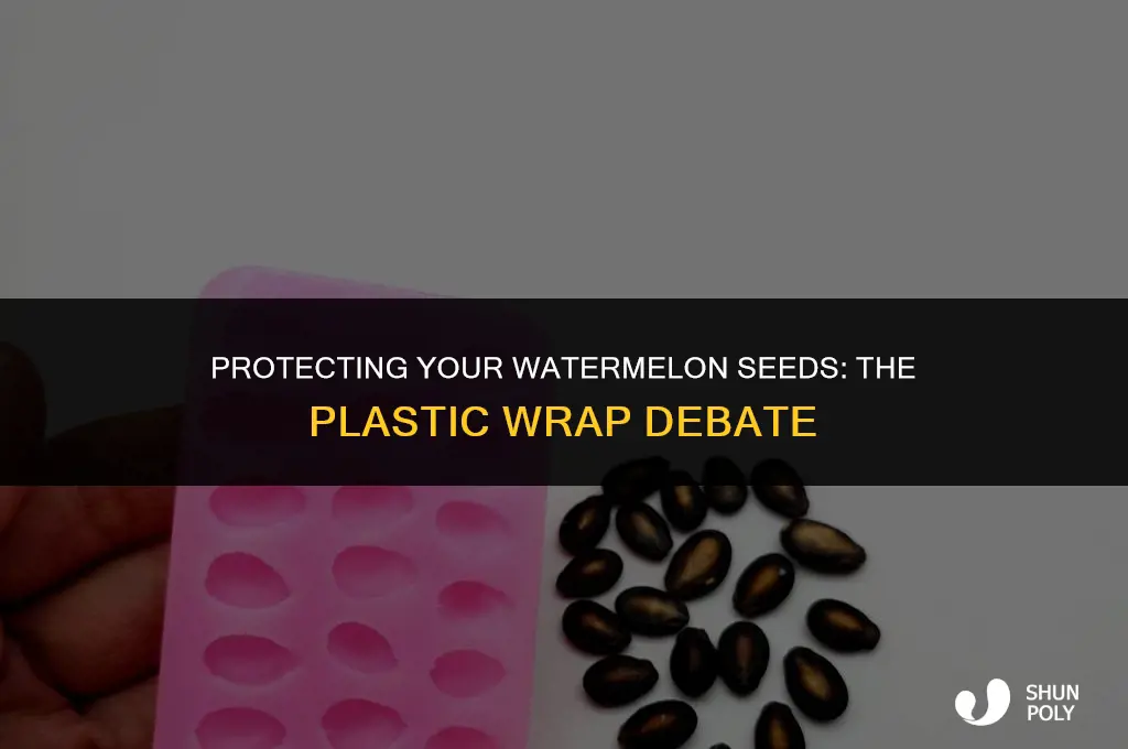 should i cover watermelon seeds with plastic wrap