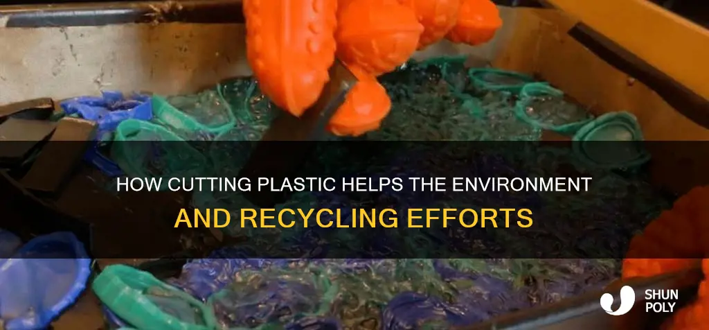 should i cut up plastic for recycling